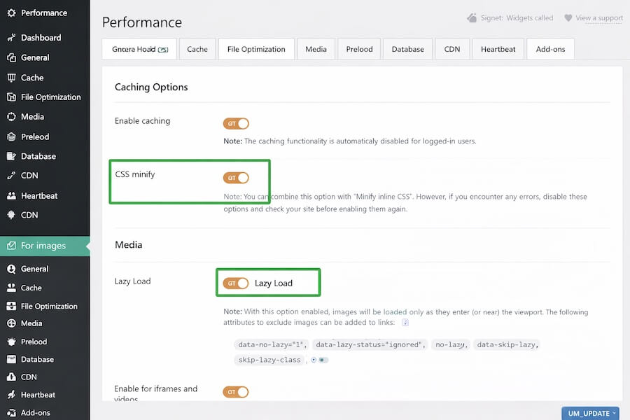 Screenshot of a WordPress caching plugin's settings dashboard, highlighting the 'Minify CSS' and 'Lazy Load' options.