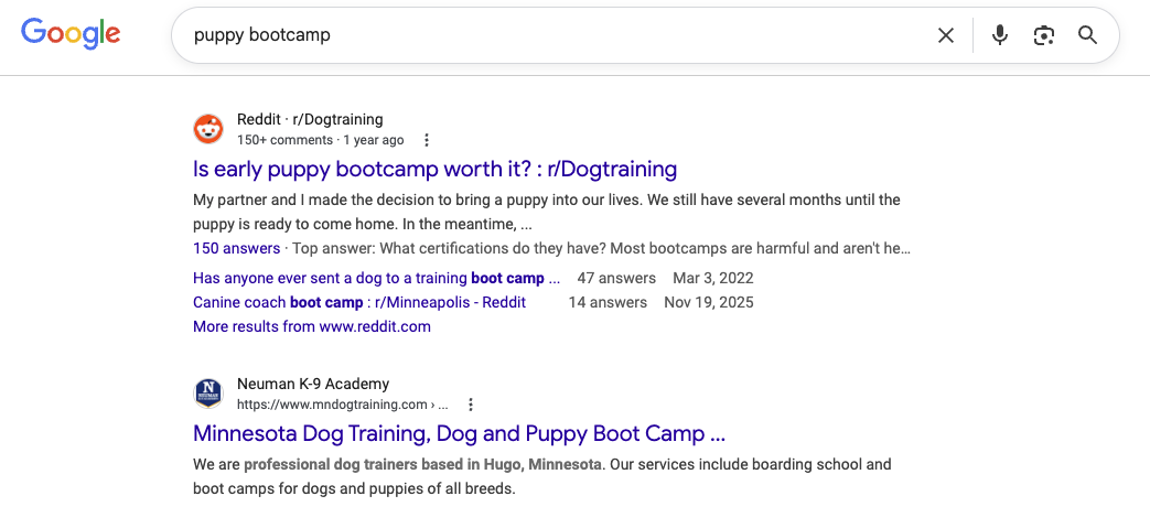 "Puppy Bootcamp" — SERP result